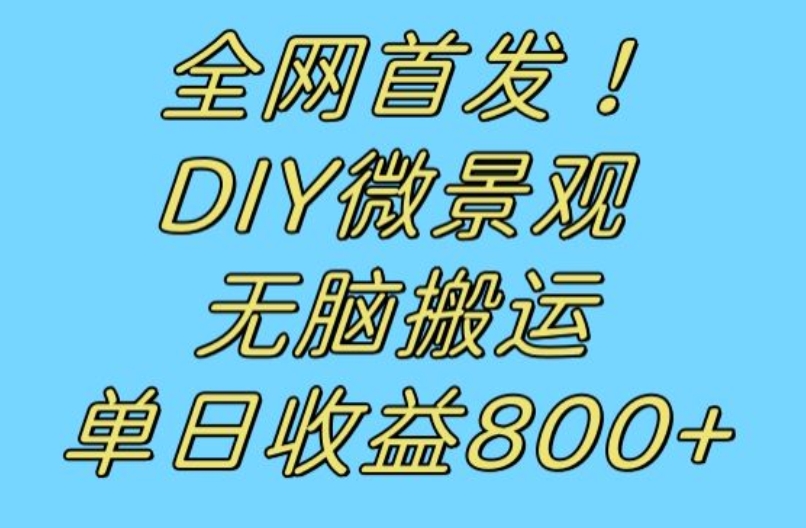 全网首发冷门赛道！DIY微景观，无脑搬运视频，日收益800+【揭秘】-逐浪前行