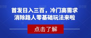 首发日入三百，冷门高需求消除路人零基础玩法来啦【揭秘】-逐浪前行