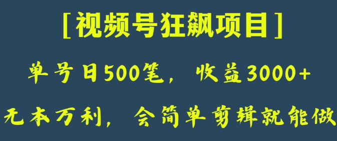 日收款500笔，纯利润3000+，视频号狂飙项目，会简单剪辑就能做【揭秘】-逐浪前行