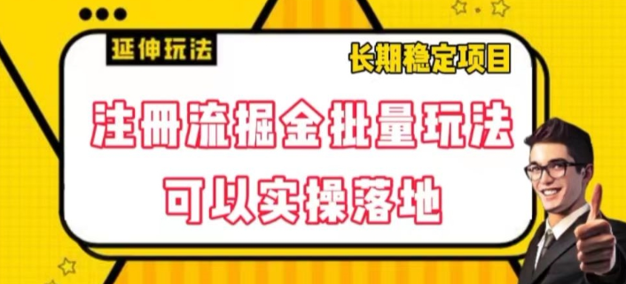 注册流掘金批量玩法，可以实操落地【揭秘】-逐浪前行