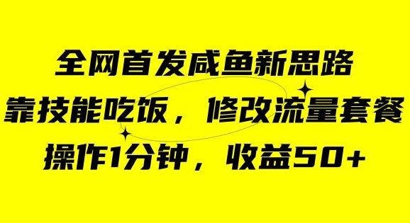 咸鱼冷门新玩法，靠“技能吃饭”，修改流量套餐，操作1分钟，收益50【揭秘】-逐浪前行