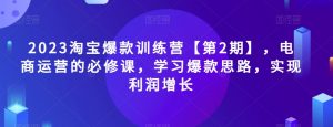 2023淘宝爆款训练营【第2期】，电商运营的必修课，学习爆款思路，实现利润增长-逐浪前行