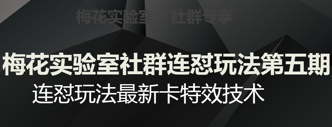 梅花实验室社群连怼玩法第五期，视频号连怼玩法最新卡特效技术-逐浪前行