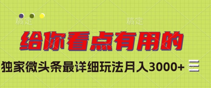 独家微头条最详细玩法，月入3000+【揭秘】-逐浪前行
