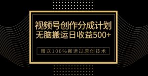最新视频号创作分成计划,无脑搬运一天收益500+,100%搬运过原创技巧【揭秘】-逐浪前行