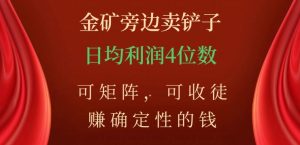金矿旁边卖铲子，赚确定性的钱，可矩阵，可收徒，日均利润4位数【揭秘】-逐浪前行