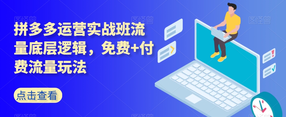 拼多多运营实战班流量底层逻辑，免费+付费流量玩法-逐浪前行