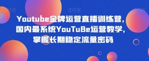 Youtube金牌运营直播训练营,国内最系统YouTuBe运营教学,掌握长期稳定流量密码-逐浪前行