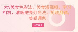 大V美食色彩法,美食短视频,学习相机,清晰透亮灯光法,剪映剪辑,美感调色-逐浪前行