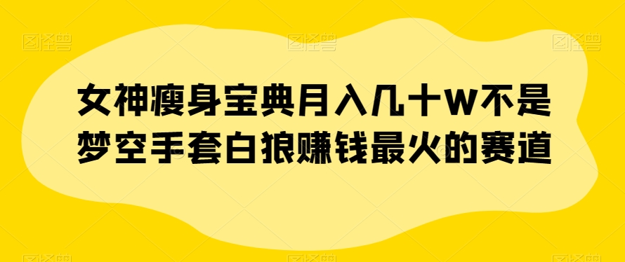 女神瘦身宝典月入几十W不是梦空手套白狼赚钱最火的赛道【揭秘】-逐浪前行