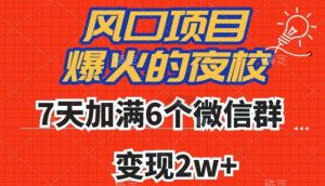 全网首发，爆火的夜校，7天加满6个微信群，变现2w+【揭秘】-逐浪前行