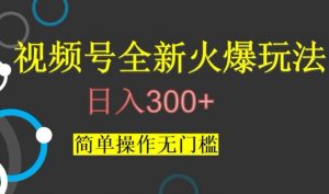视频号最新爆火玩法,日入300+,简单操作无门槛【揭秘】-逐浪前行