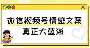 视频号情感文案，真正大蓝海，简单操作，新手小白轻松上手（教程+素材）【揭秘】-逐浪前行