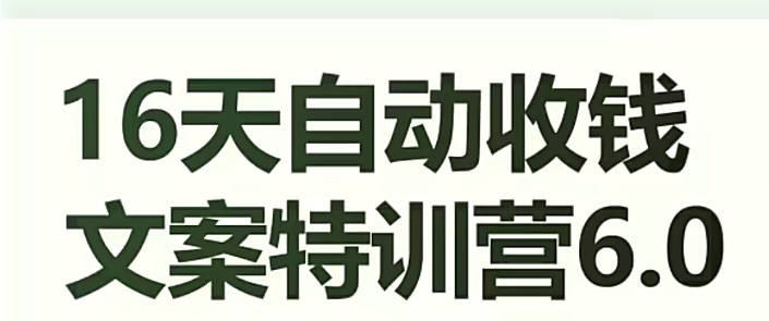 16天自动收钱文案特训营6.0，学会儿每天自动咔咔收钱-逐浪前行