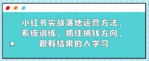 小红书实战落地运营方法，系统训练，抓住搞钱方向，跟有结果的人学习-逐浪前行
