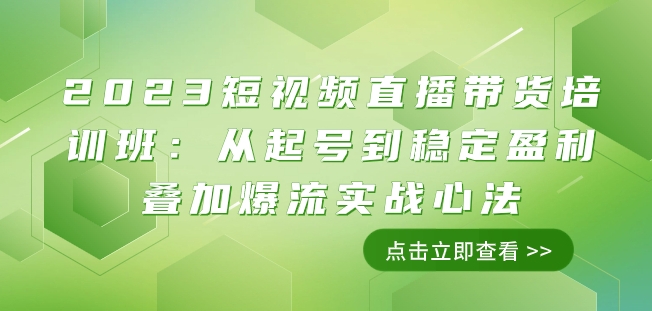 2023短视频直播带货培训班：从起号到稳定盈利叠加爆流实战心法（11节课）-逐浪前行