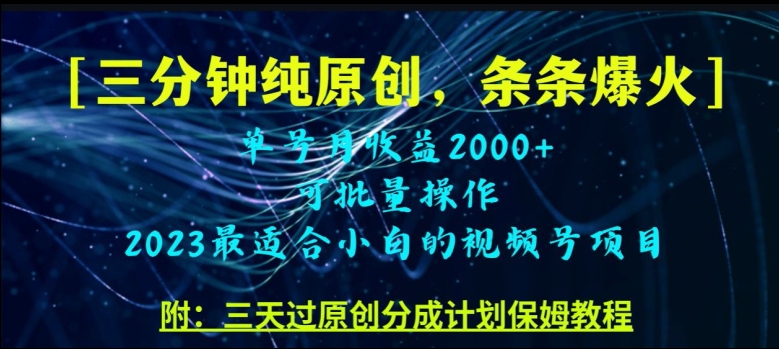 三分钟制作视频号纯原创，条条爆款，轻松月入过万【揭秘】-逐浪前行