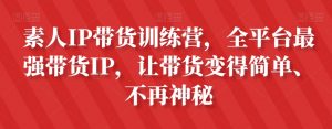 素人IP带货训练营,全平台最强带货IP,让带货变得简单、不再神秘-逐浪前行