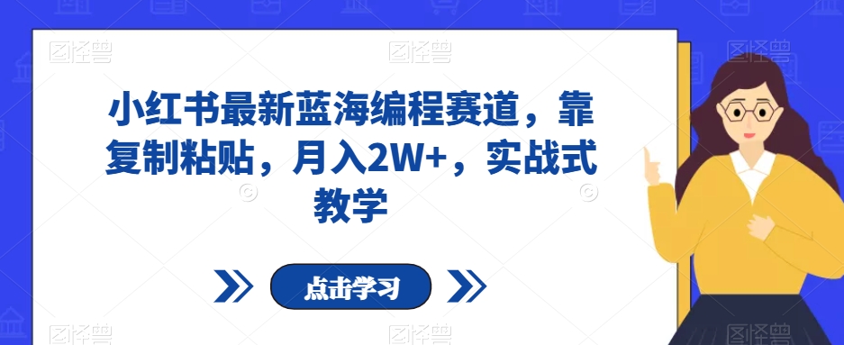 小红书最新蓝海编程赛道，靠复制粘贴，月入2W+，实战式教学【揭秘】-逐浪前行