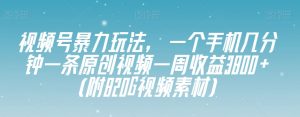 视频号暴力玩法，一个手机几分钟一条原创视频一周收益3800+（附820G视频素材）-逐浪前行