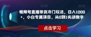 视频号直播带货冷门玩法，日入1000+，小白专属项目，从0到1实战教学【揭秘】-逐浪前行