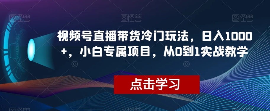 视频号直播带货冷门玩法，日入1000+，小白专属项目，从0到1实战教学【揭秘】-逐浪前行