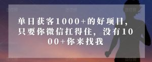 单日获客1000+的好项目,只要你微信扛得住,没有1000+你来找我【揭秘】-逐浪前行