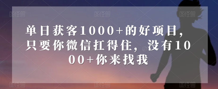单日获客1000+的好项目，只要你微信扛得住，没有1000+你来找我【揭秘】-逐浪前行