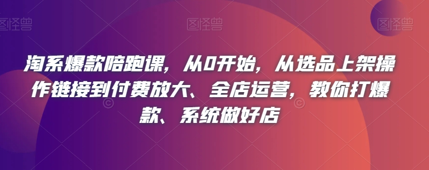 淘系爆款陪跑课，从0开始，从选品上架操作链接到付费放大、全店运营，教你打爆款、系统做好店-逐浪前行