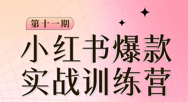 小红书博主爆款训练营第11期，手把手教你从0-1做小红书，从定位到起号到变现-逐浪前行