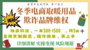 利用电商平台冬季销售取暖用品欺诈行为合理制裁店铺,单日入900+【仅揭秘】-逐浪前行