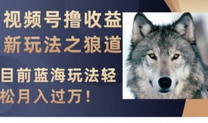 视频号撸收益新玩法之狼道,目前蓝海玩法,轻松月入过万【揭秘】-逐浪前行