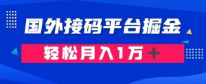 通过国外接码平台掘金：成本1.3，利润10＋，轻松月入1万＋【揭秘】-逐浪前行