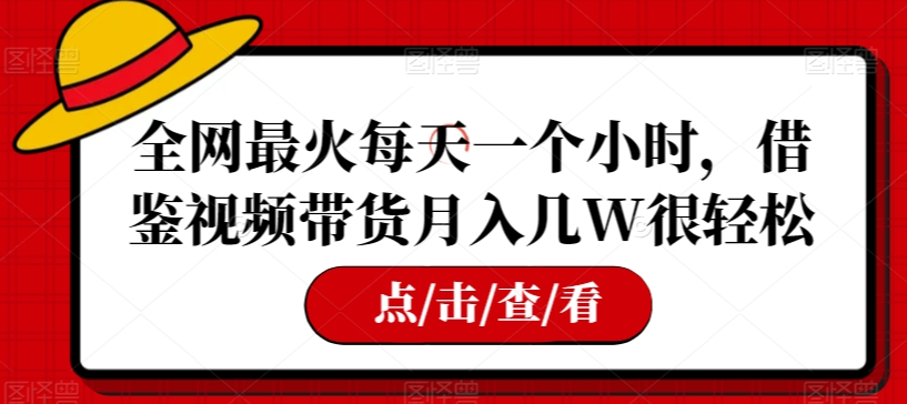 全网最火每天一个小时，借鉴视频带货月入几W很轻松【揭秘】-逐浪前行