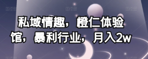 私域情趣,橙仁体验馆,暴利行业,月入2w【揭秘】-逐浪前行
