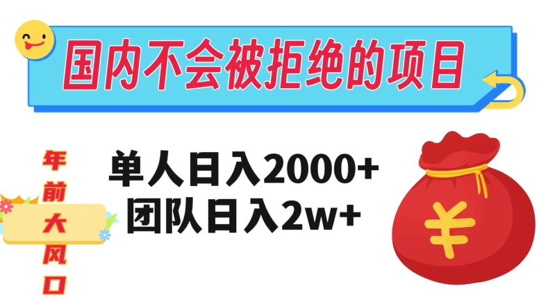 在国内不怕被拒绝的项目，单人日入2000，团队日入20000+【揭秘】-逐浪前行