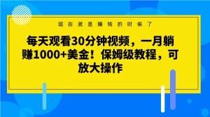 每天观看30分钟视频，一月躺赚1000+美金！保姆级教程，可放大操作【揭秘】-逐浪前行