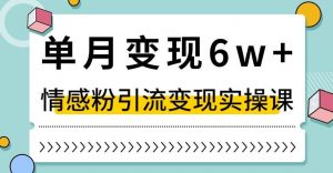 单月变现6W+，抖音情感粉引流变现实操课，小白可做，轻松上手，独家赛道【揭秘】-逐浪前行