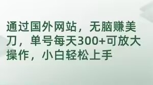 通过国外网站，无脑赚美刀，单号每天300+可放大操作，小白轻松上手【揭秘】-逐浪前行