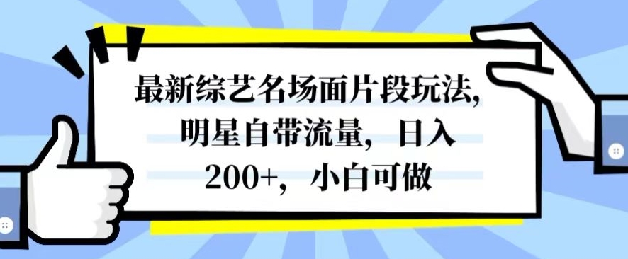 最新综艺名场面片段玩法，明星自带流量，日入200+，小白可做【揭秘】-逐浪前行