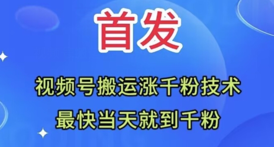 全网首发：视频号无脑搬运涨千粉技术，最快当天到千粉【揭秘】-逐浪前行