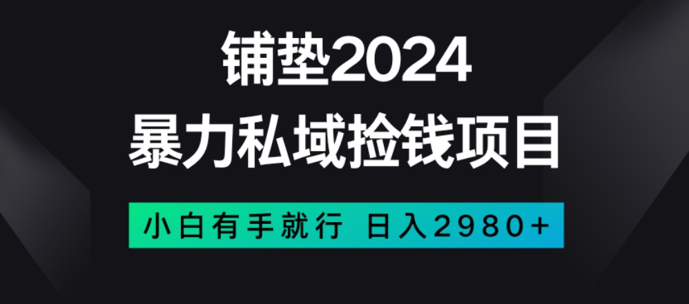 暴力私域捡钱项目，小白无脑操作，日入2980【揭秘】-逐浪前行
