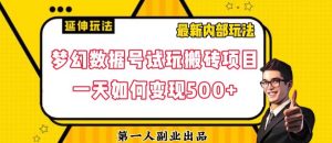 数据号回归玩法游戏试玩搬砖项目再创日入500+【揭秘】-逐浪前行