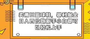 卖莆田篮球鞋，暴利掘金日入四位数新手小白都可以轻松上手【揭秘】-逐浪前行