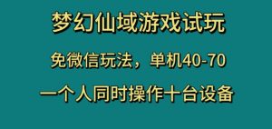 梦幻仙域游戏试玩,免微信玩法,单机40-70,一个人同时操作十台设备【揭秘】-逐浪前行