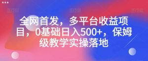 全网首发,多平台收益项目,0基础日入500+,保姆级教学实操落地【揭秘】-逐浪前行