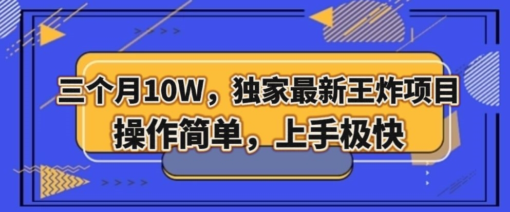 三个月10W，独家最新王炸项目！操作简单，上手极快【揭秘】-逐浪前行