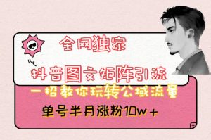 全网独家抖音图文矩阵引流,一招教你玩转公域流量,单号半月涨粉10w+【揭秘】-逐浪前行