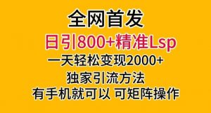 全网首发!日引800+精准老色批,一天变现2000+,独家引流方法,可矩阵操作【揭秘】-逐浪前行