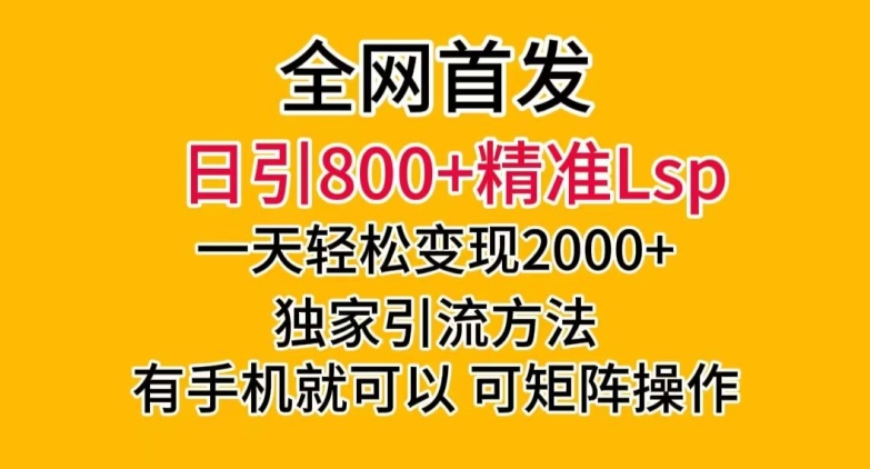全网首发！日引800+精准老色批，一天变现2000+，独家引流方法，可矩阵操作【揭秘】-逐浪前行
